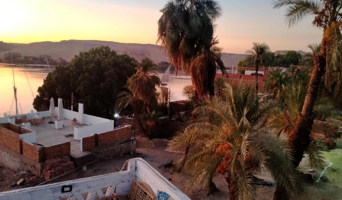 Sunset over the Nile between the palms, seen from the roof
