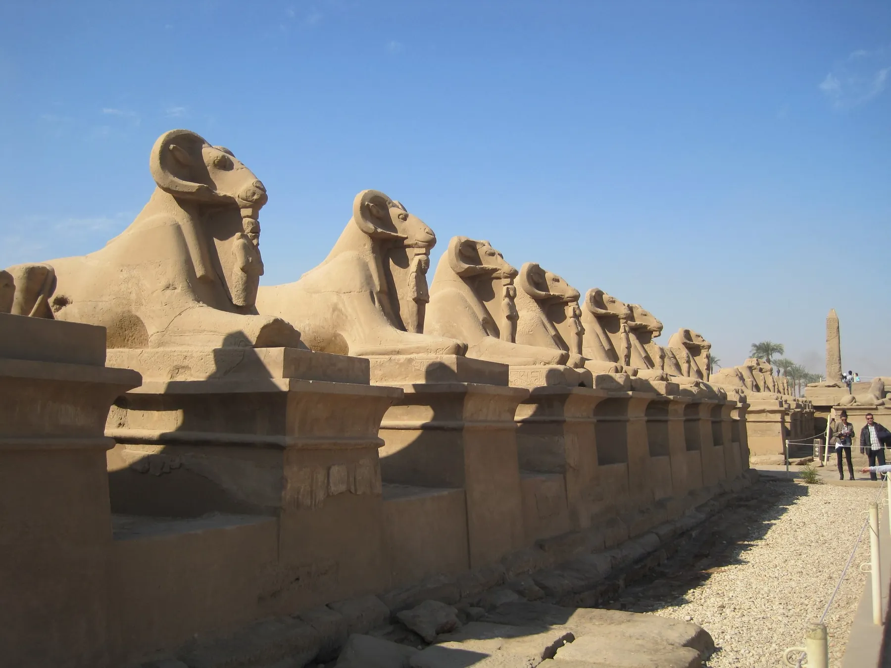 Ram-headed sphinxes at the Karnak end of the Avenue of Sphinxes