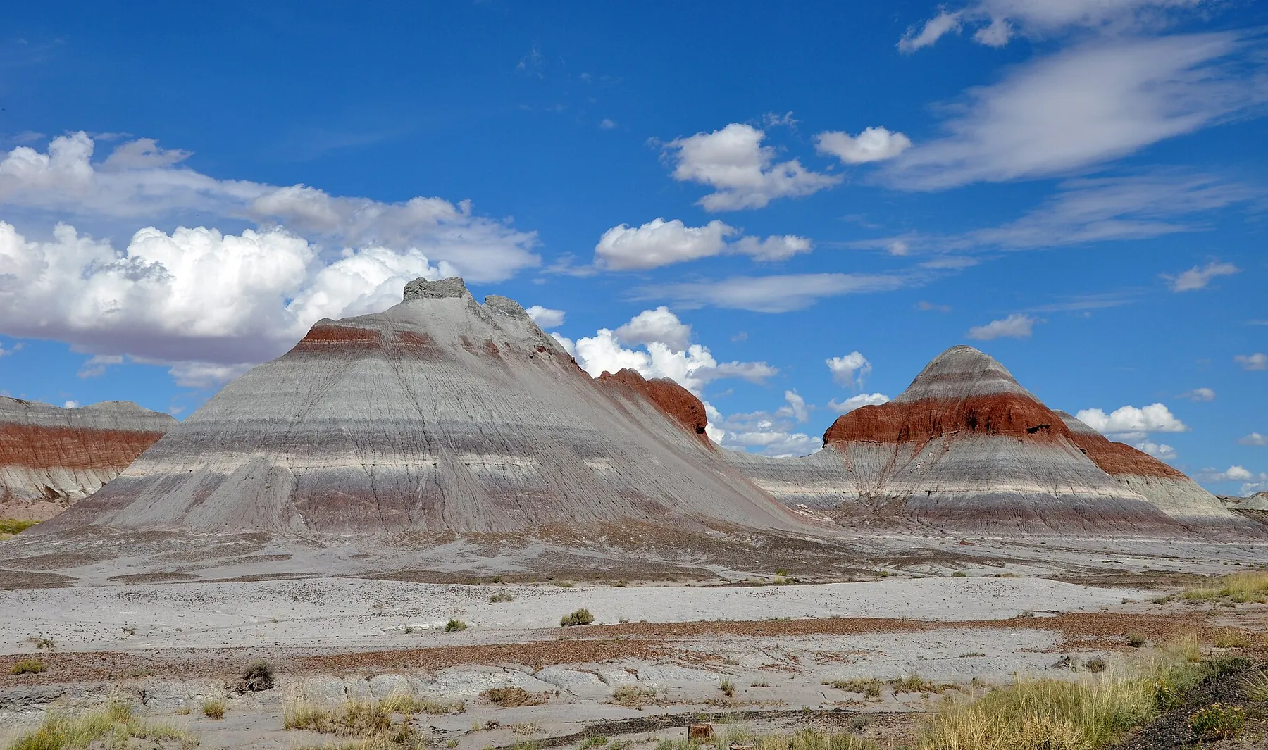 El parque nacional del Bosque Petrificado