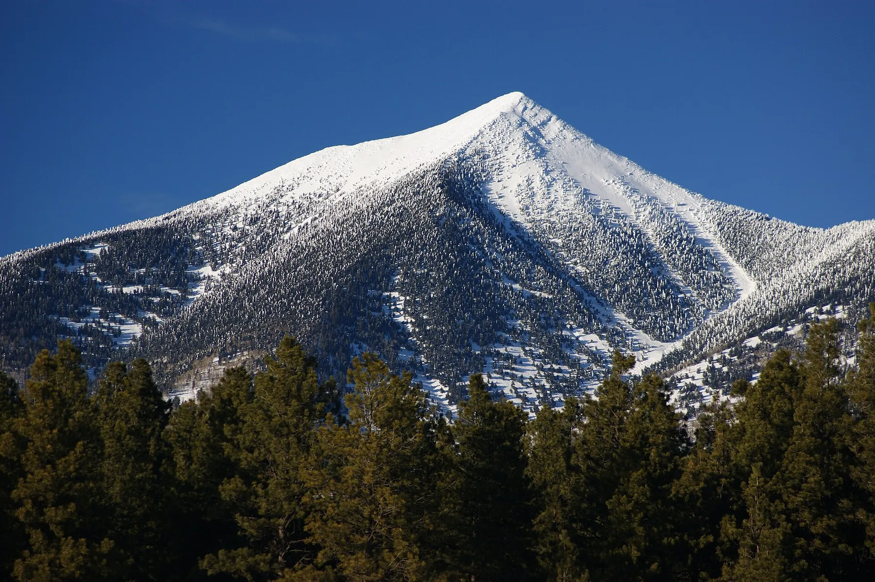 Los San Francisco Peaks, sobre Flagstaff